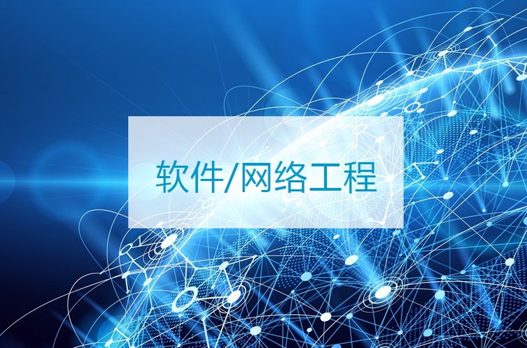 软件/网络工程